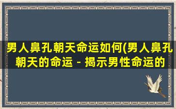 男人鼻孔朝天命运如何(男人鼻孔朝天的命运 - 揭示男性命运的现实问题)